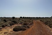 Kokkino Chorio Kreta, Kokkino Chorio: Spektakuläres 80.000 m² großes Grundstück mit Meerblick auf Kreta zum Verkauf Grundstück kaufen